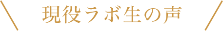 現役ラボ生の声